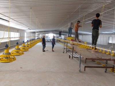 انشاء حظائر دواجن
